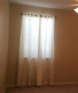 Window Washing Cypress