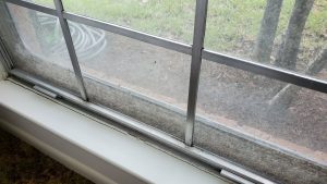 Superior Window Cleaning Services in Houston