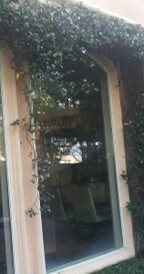 Top-rated window washing in Houston, Texas 4 Top-rated window washing in Houston, Texas