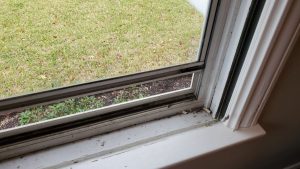 Coronavirus Window Sanitizing Tips Houston, Texas 3 Coronavirus Window Sanitizing Tips Houston, Texas