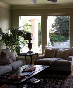 Professional Window Washing now Houston TX 2 Professional Window Washing now Houston TX