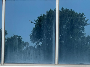 High-quality Outdoor Window Cleaning in Houston
