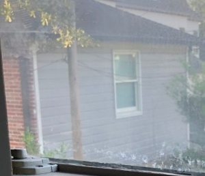 Window Cleaning and Sanitizing in Pearland