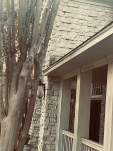 Window Cleaning and Sanitizing in Pearland