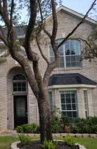 Professional Window Cleaning in need Houston, Texas 2 Professional Window Cleaning in need Houston, Texas