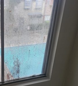 Eco-Friendly Window Cleaning in Houston 2 Eco-Friendly Window Cleaning in Houston