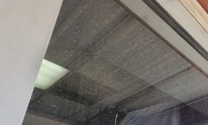 Window Cleaning Services for Hotels in Houston