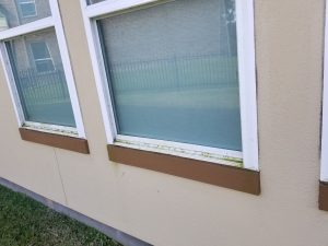 Houston Quality Residential Window Cleaning