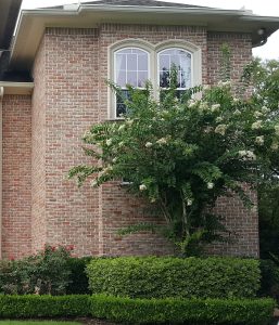 Houston Area Best in Window Cleaning 2 Houston Area Best in Window Cleaning