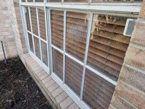 1 Additional Window Cleanings Houston 3 1 Additional Window Cleanings Houston
