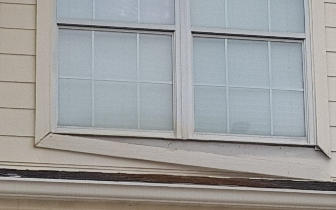 Window Cleaning Made Easy in Houston, TX