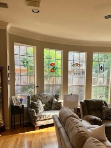 10 Essential Tips for Window Cleaning in Houston, Texas